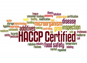 What is HACCP? (A Step-by-Step-Guide) by dicentra