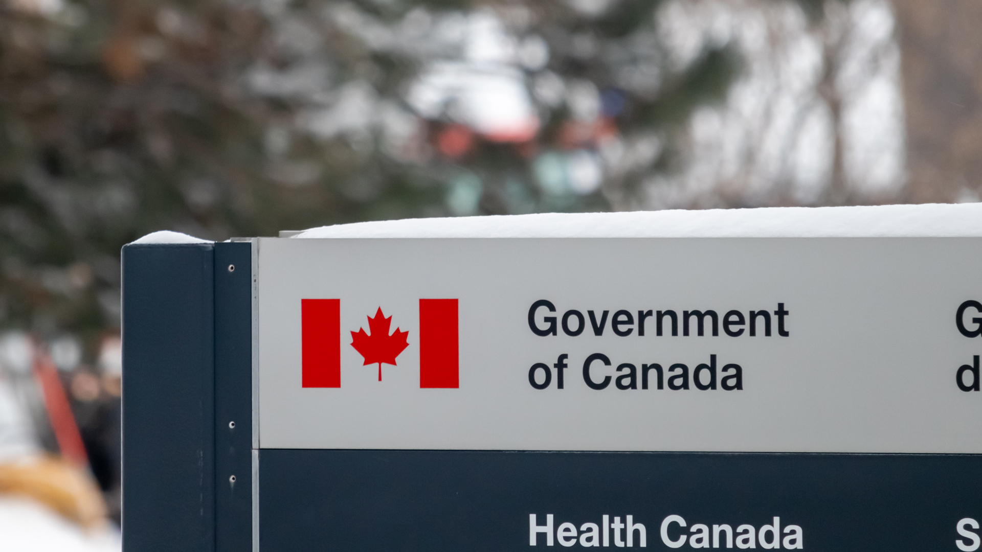 Health Canada announces Extension of Current TMALs and Proposed New Regulations