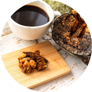 GRAS_Hydration_Chaga_Crop_V1D1