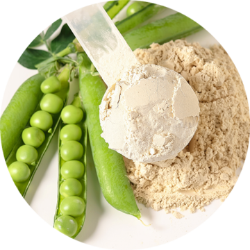 GRAS_Pea_Protein_Crop_V1D1 GRAS_Pea_Protein_Crop_V1D1