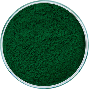 Novel_Foods_Spirulina_Crop