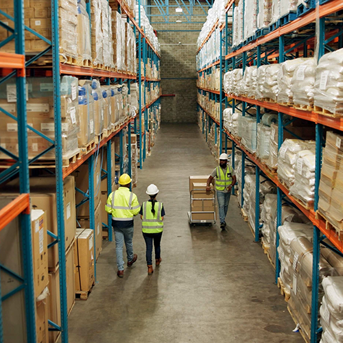 importation_warehouse_V1D1